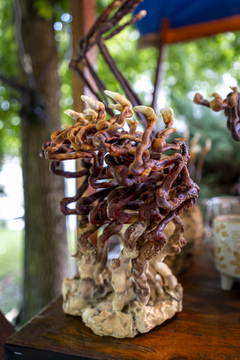 2025-07-18 KUL Petek-2